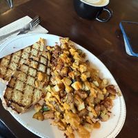   at Feed Cafe in Bozeman