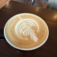   at Feed Cafe in Bozeman