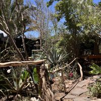 Garden   at Jardin Meraki in San Pedro De Atacama