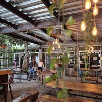 Nice, spacious place with lots of light and plants at CUL&CUL - Cultivo y Cultura in Queretaro