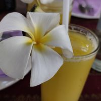  at Chanda's Historical Garden Restaurant - อาหารสวนประวัติศาสตร์ in Sukhothai