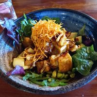 Buddha bowl at Greentable in Hamburg