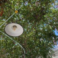 Backyard  at Paloma Bakery House in Mendoza