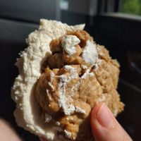oatmeal cookie woopie pie 🤤 at Bean Counter Bakery in Worcester