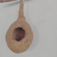 It can be a house for birds if they are allowed at Chhotaram Prajapat's Homestay in Jodhpur