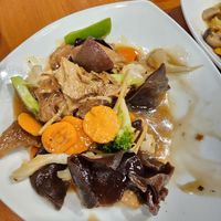 Agaric vege duck at Yummy Chinese Cuisine in Christchurch