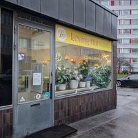  at Loving Hut in Helsinki