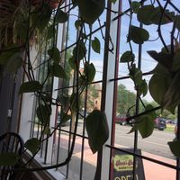   at Beet Box Bakery & Cafe in Denver