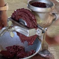  at Rancho Raices de Osa - Artisian Chocolate Tour in Puerto Jimenez