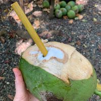  at Rancho Raices de Osa - Artisian Chocolate Tour in Puerto Jimenez