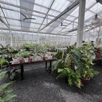 Cactus farm  at Backyard Cafe x TCT in Surat Thani
