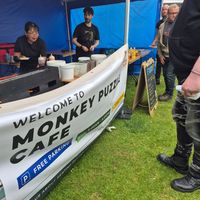  at The Monkey Puzzle in Ilfracombe