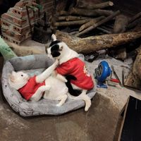  at Thong Dong 2 - Vegan Friendly Kitchen in Lao Cai