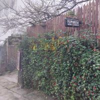 We finish the food before we realise to make a photo, so good it was! at Thong Dong 2 - Vegan Friendly Kitchen in Lao Cai