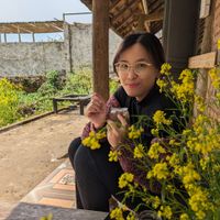  at Thong Dong 2 - Vegan Friendly Kitchen in Lao Cai