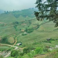  at Thong Dong 2 - Vegan Friendly Kitchen in Lao Cai