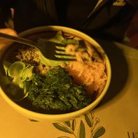   at Millennium Garden in Tirana