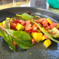  at Millennium Garden in Tirana