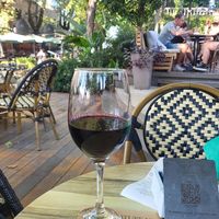  at Millennium Garden in Tirana