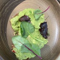   at Millennium Garden in Tirana