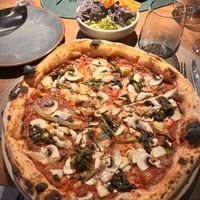   at Millennium Garden in Tirana