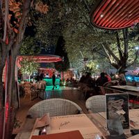  at Millennium Garden in Tirana