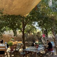   at YAAB Vegan Kitchen in Puerto Escondido