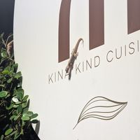 Cute gecko at Kina Kind Cuisine in Pattaya