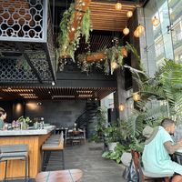 The lower plants were real  at Ver De in El Nido