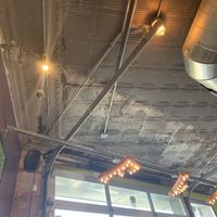 Fly at The Fly Trap in Ferndale