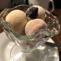 Mocchi! at Green Sprout in Atlanta