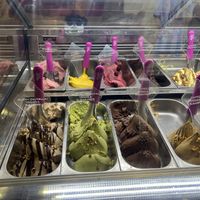 Vegan ice cream and sorbet selection   at Frozen Fun Gelato in New Delhi