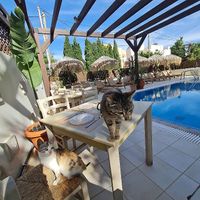  at GOJI Vegan Hotel in Rhodes