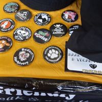 some pins at CrowBunny - Webshop in Garmerwolde