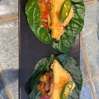 Crispy Tofu Betel  at Little Pearl in Manly