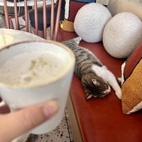 drink with a view  at Proje Cafe in Istanbul