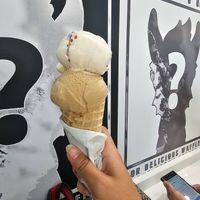  at The Dolly Llama in Winter Garden