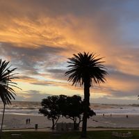   at Tiger's Milk Camps Bay in Cape Town