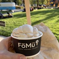 Apple Cider Donut Coconut Ice Cream at FoMu in Allston