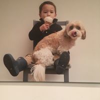 Happy patron hall of fame at FoMu in Allston