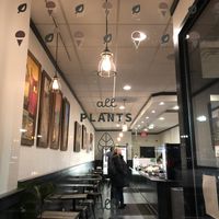 Window at FoMu in Allston