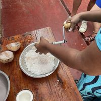 Freshly craved coconut   at Hey Mama in Mirissa