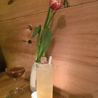  at Mandarava in Newburyport