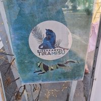  at Cat Cafe Tiramisu in Kuopio