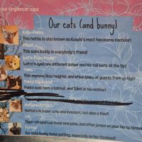 Not all the cats are on this, there are actually more at Cat Cafe Tiramisu in Kuopio