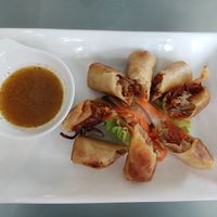 Spring rolls at Fat Cupid in Langkawi
