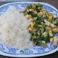 Stir Fried Chili Paste w Tofu, 40 Baht. Not spicy at all if you tell her while ordering😄very yummy! Almost same like green curry at Joy's Place in Pai