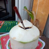 Fresh coconut at Joy's Place in Pai