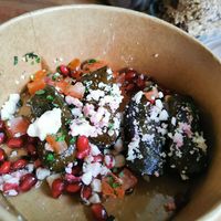  at Salt N Fire in Inverness