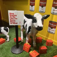 Cows  at Mr.Charlie's - San Francisco in San Francisco